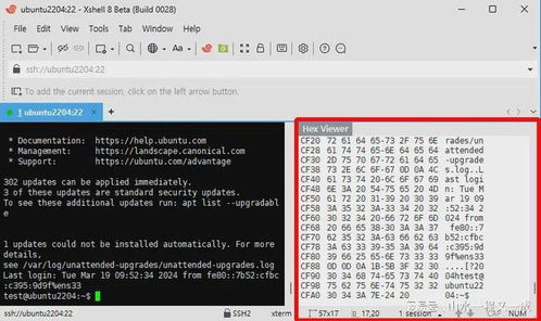 技术人的工具箱 一文梳理Xshell正版软件靠谱购买渠道与服务指南